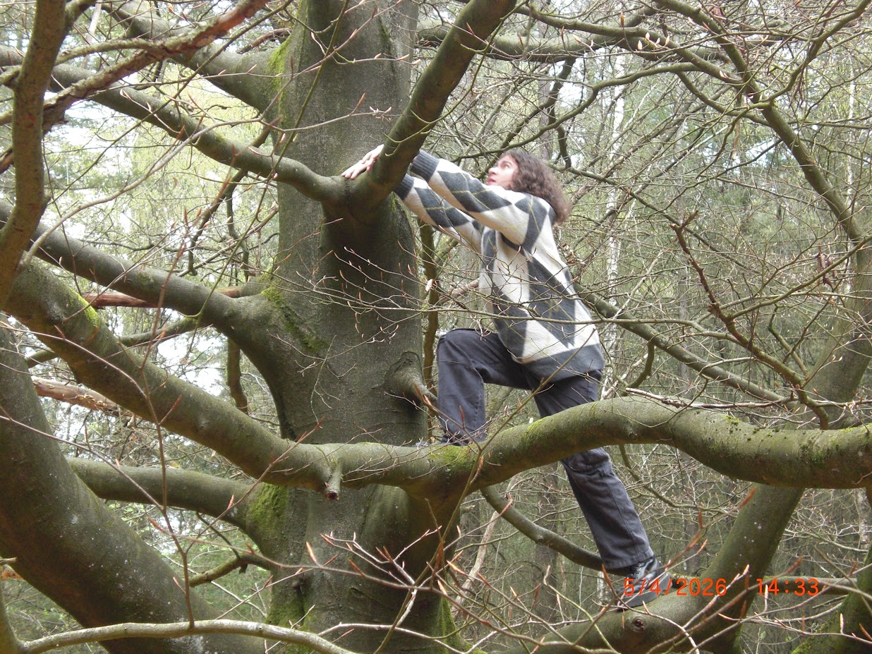 Jarno climbing a tree